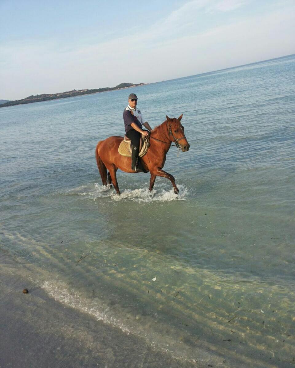 Villa Dettori San Teodoro  Bagian luar foto