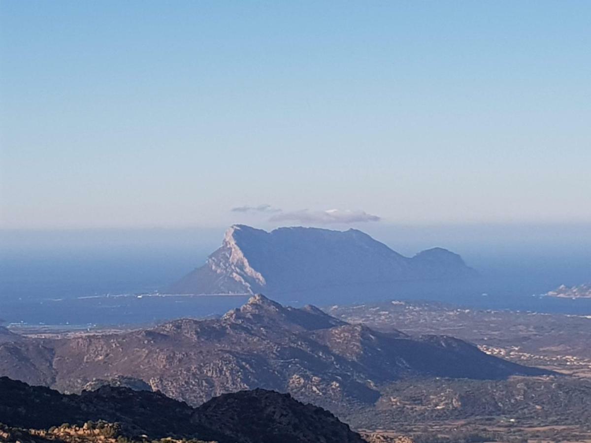 Villa Dettori San Teodoro  Bagian luar foto