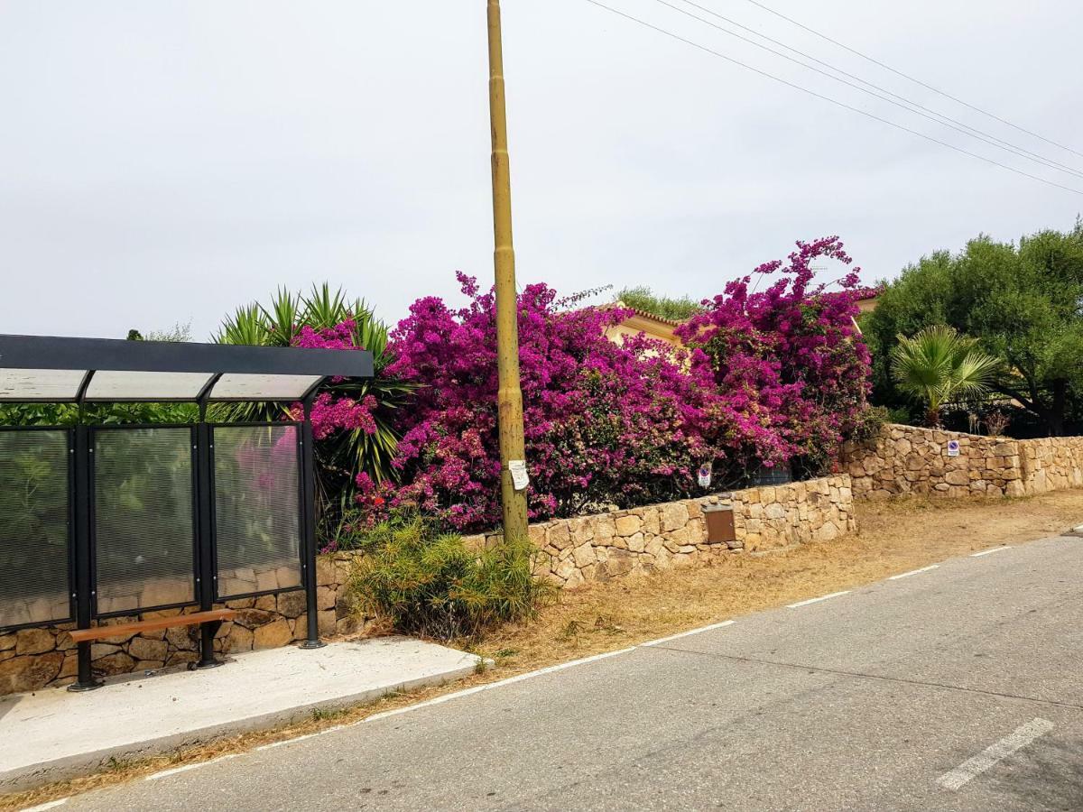 Villa Dettori San Teodoro  Bagian luar foto